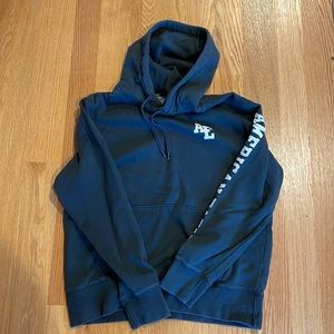 American Eagle hoodie size M/charcoal